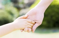 浙江侨商会领导等奉献