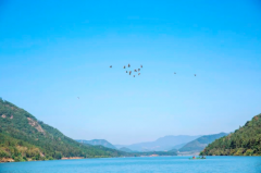 ���һ�����Σ���ת��